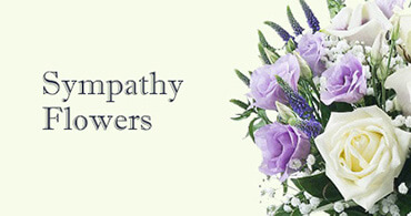 Bellingham Sympathy Flowers