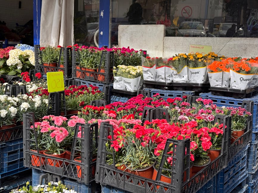 Exterior display of various potted flowering plants arranged in black plastic crates outside a flower shop. The flowers include bright pink and red carnations, white and cream hydrangeas, orange marig
